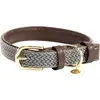 Kentucky Horsewear Dogwear - Hondenhalsband - Gevlochten Nylon - Grijs - Maat S - 42cm - Hondenriem