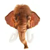 WildandSoft Wild & Soft - Trophy mammoet Arthur - Dierenkop