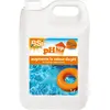 Produit chimique pour piscine - BSI - pH Up Liquide - Augmente le pH -...