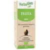 Herbalgem Macérat Concentré Tilleul Bio 30ml