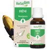 Herbalgem Macérat Concentré Frêne Bio 30ml