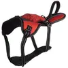 Flamingo Harnais Kelso Rouge XL 54-84CM 25MM