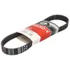 Gates Poly V-riem