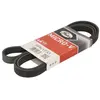 Gates Multiriem