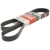 Gates Poly V-riem
