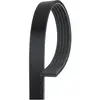 Gates Poly V-riem