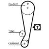 GATES Kit de distribution (Ref: K025403XS)