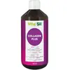 Vitasil Collagen Plus - Collagène Beauté de la Peau 500ml