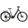 Urban Jungle Vélo électrique Barrio 3.0 Performance