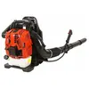 Varan Motors - BL766 Souffleur à dos Thermique moteur 4 temps 76cc 2.2...