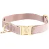 Kentucky Horsewear Dogwear - Velvet Hondenhalsband - Lichtroze - Maat XXS - 18-26cm - Hondenriem