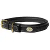 Dyon Collier De Chien Plaited
