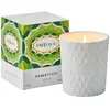 Claus Porto Geurkaars Feuille verte d'Alface Bougie parfumée - 270 gr