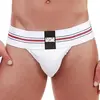 Jockstrap Boris Blanc blanc XL