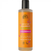 Urtekram Gommage pour enfants Shampooing Calendula/sans parfum, 250 ml