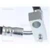Triscan Remslang