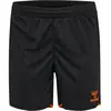 Hummel Damen Core 2.0 Shorts 230831 Black/Orange Tiger-S