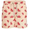 Jack & Jones Short De Bain Fiji Aop