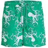 Jack & Jones Short De Bain Fiji Aop