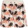Jack & Jones Short De Bain Fiji Plain Wb