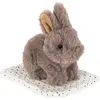 Peluche Lapin et son panier
