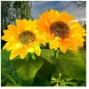 Ensoleille - LumièRes Solaires ExtéRieures Fleur,2 paquets led Lumière...