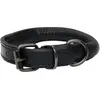 Catago Laeder hundehalsbånd Sort 55 cm (XXL, Chien), Collier + laisse