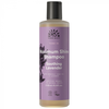 Urtekram Maximum Shine Tune In Shampoing Biologique 250 ml
