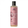 Urtekram Shampoing Doux À La Rose Sauvage - Cheveux Colorés