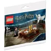 LEGO® Harry Potter  30420 Harry Potter et Hedwige (polybag)