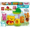 LEGO Disney  L'Anniversaire de Winnie l'Ourson 10457