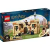 LEGO® Harry Potter Poudlard  : la première leçon de vol (76395)