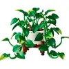 LEGO Botanicals Pothos doré tombant 11512