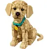 LEGO LEGO® Icons Le chiot Golden Retriever 11384