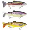 Westin Tommy The Trout Real Rainbow Trout Slow Sinking 205gr (25cm)