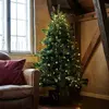 Sirius, Sapin de Noël, Anton (180 cm)