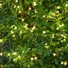 Sirius, Guirlande lumineuse, Knirke (16 m)