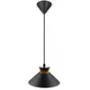 Nordlux Dial 25-hanglamp-E27-zwart