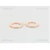 Remslang 815013137 Triscan