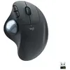 Souris ergonomique - Sans fil - Logitech - Ergo M575 - Graphite