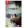 Nintendo Games Switch Dungeons Of The Endless Includes Artbook/keychai...