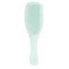 Tangle Teezer, Brosse + peigne, Fine and Fragile Ultimate Detangler Ha...