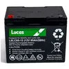 Batterie Plomb Etanche Stationnaire et Cyclage Lucas VRLA AGM LSLC85-1...