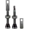 Peaty's Mk2 Valves Tubeless Cycle Adulte Unisexe, Argenté, 42 mm