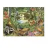 House Of Puzzles Riverside Glade