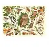 HOP - House of Puzzles Pièces XXL - Oiseaux Des Bois Of-Puzzles-HP0626