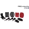 PRO-Mounts Grab Box of Mounts