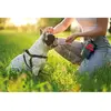 KONG Pick-Up (Pochette à friandises pour chiens), Jouets pour chien