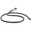 Câble Coaxial QED 1M Graphit