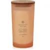 Chesapeake Bay Candles, Bougie parfumée, Pamplemousse Mangue